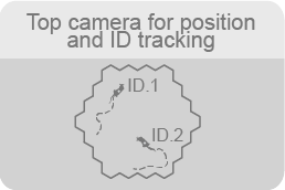 live-position-tracking