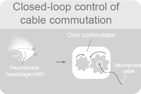 commutator-rotation-control